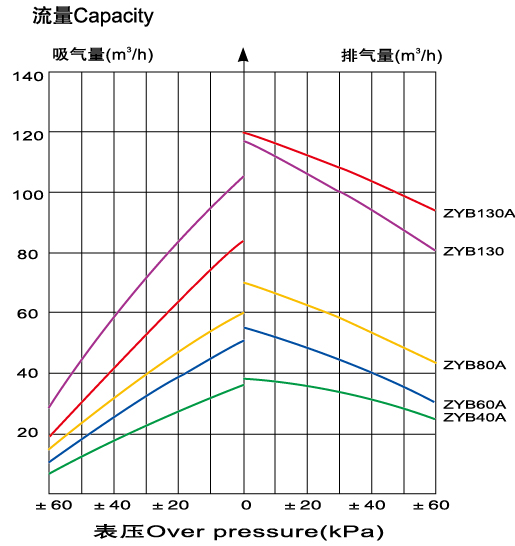 ZYB...A復(fù)合氣泵